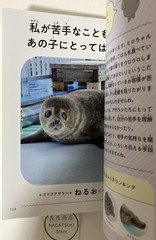 Motto Azatoku Jibun Rashiku Japanese Azarashi Seal Photo Essay Book Japan