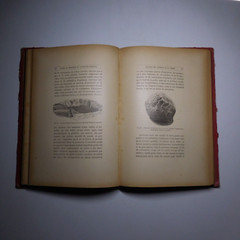 N25.4 Misery Size Humanity Primitive 1889 Illustrated Anthropology Mrs. Meunier