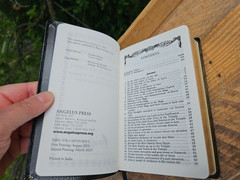 Practical Meditations: For Every Day in the Year Angelus Press Black Leathersoft