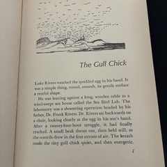 GULL NUMBER 737 by Jean Craighead George, 1964 Young America Book Club Edition