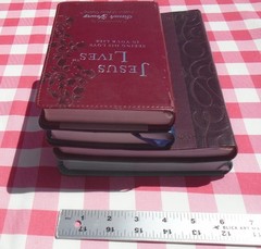 JESUS LIVES, JESUS TODAY BY SARAH YOUNG LOT OF 4 IMITATION LEATHER COVER