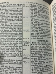 Holy Bible Cameo 16mo PCE Pure Cambridge Edition Antique French Morocco Leather