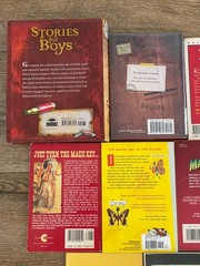 BOYS Chapter Books Lot of 11 ~ 8-12 Years Old – Classroom Library Homeschool
