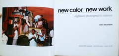NEW COLOR/NEW WORK, THE NEW COLOR, Sally Eauclaire Abbeville Press 1st Ed. [368]