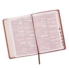 The Holy Bible King James Version LARGE PRINT Thumb Indexed Edition / TAN