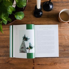 The Daily Grace Co Seek | Psalms 61-90 Bible Study
