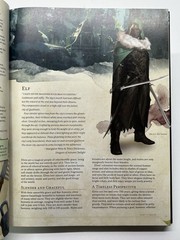 D&D 2014 Player’s Handbook (Dungeons & Dragons Core Rulebook)
