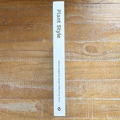 Plant Style: How to Greenify Your Space Langan Vidal Hardcover Thames & Hudson