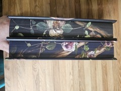 Shield Of Sparrows And Rites Of The Starlings Sprayed Edges First Editions.