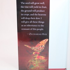 SIGNED No Burning Bushes Discovering God In The Ordinary Hardcover Kathy Marotta