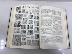 Index Fossils of North America by Shimer/Shrock 8th Print 1965 Ex-Library HC