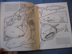 1989 SHARKS OF THE WORLD Dover Coloring Book PB Llyn Hunter