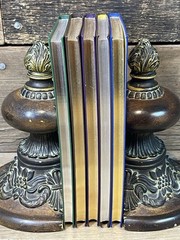 5 Book Poetry Lot, 2016 Fall River Press LEATHER Classic Barnes & Noble Gilt