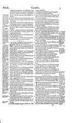 1560 &1599 Geneva Bible-Reformation Scripture CommentaryJohn Calvin & Beza-on CD