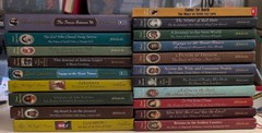 Lot of 20 Dear America & My America Scholastic Historical Royal Diaries HC