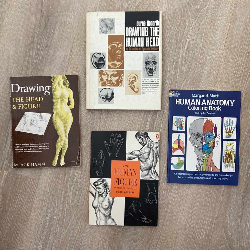 Drawing Book Lot: Head & Figure, Anatomy, The Human Head, Burne Hogarth, VG Cond