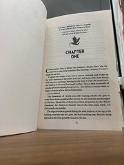 Fourth Wing by Rebecca Yarros Paperback New Bestselling Book