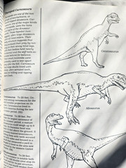 A Field Guide to Dinosaurs Coloring Book – Like New/Unused Vintage 1989 Rare PB