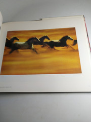 Ernst Haas Color Photography by Ernst Haas 1989 Abrams Fine Art Book HC DJ