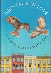 Red-Tails in Love: A Wildlife Drama in – Hardcover, by Winn Marie – Very Good w