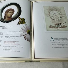 The Illuminated Rumi Jalal Al-Din Rumi 1997 First Edition Illustrated Hardcover
