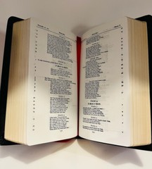 The Holy Bible in Modern English Ferrar Fenton… Leatherette Black or White