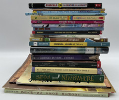 Lot of 20 Chapter Books Graphic Novels Kids Mixed Lot Acceptable Condition