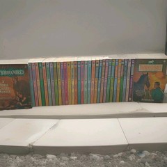 Lot of 33 Thoroughbred Books Series by Joanna Campbell Vintage 1990’s OOP