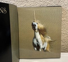 Signed Robert Vavra Unicorn Book Unicorns I Have Known w/ Grey Horses HCDJ VGUC
