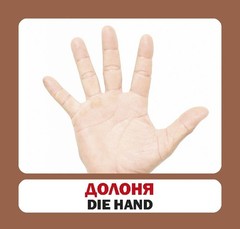 Book In Ukrainian Частини тіла Author not specified Body Parts