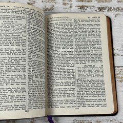 New Testament & Psalms ~ Self Pronouncing Edition National Bible Press Leather