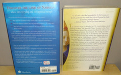 CS Lewis Inside Narnia Business of Heaven Devin Brown Books Paperback Lot of 2