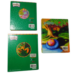 Houghton Mifflin Leveled Reading Levels 1.1 and 1.3 Journeys 2.1 Hardcover Texts