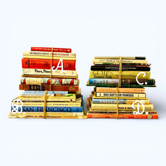 Vintage SAN FRANCISCO Books Home Decor Bay Area California Vintage Book Lot