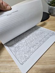 Journal Of An Insane Woman By Cindy Jackson-8 Pages Colered CHRISTIAN