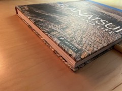 Anatsui : Art and Life by Susan M. Vogel (2021, Hardcover)