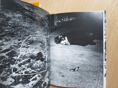2 Weegee books Weegee’s World and Weegee: Naked New York 1997/2000