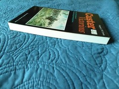 Custer Victorious : The Civil War Battles of Genneral George Armstrong Custer
