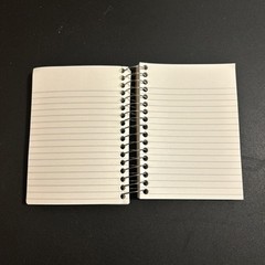 Vintage Goosebumps Mini Notebook Say Cheese And Die Rare. #4. 174/180 Pages Used