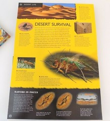 Lot Of 2~Learning Books~3-D Explorer Bugs~Reading 2008 Student Edition Grade 2.1