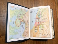French Bible LARGE PRINT, Segond 1910 Bonded Leather Thumb Index, Red Letter