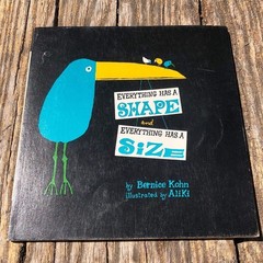 Everything Has a Shape and Everything Has a Size