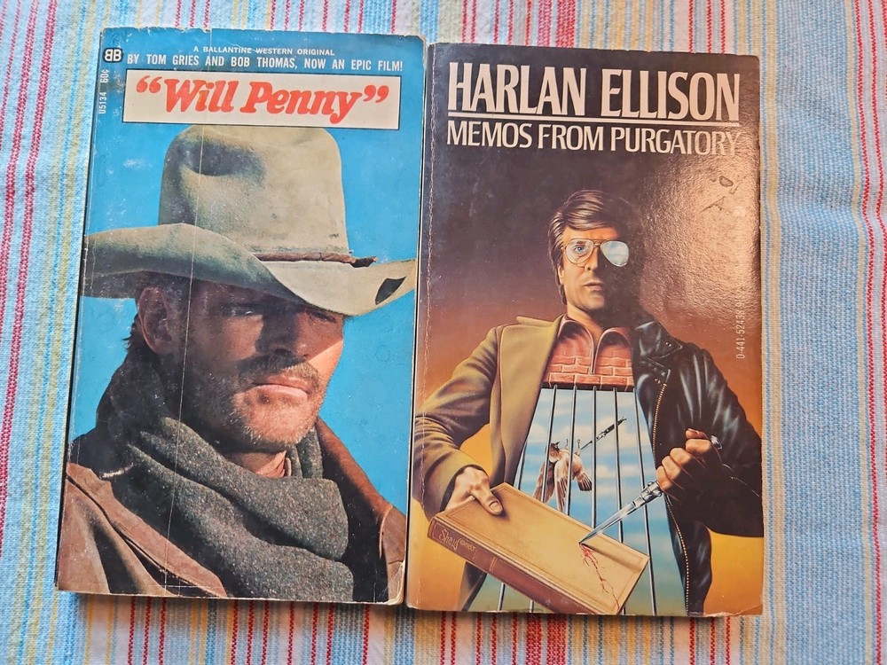 Lot Of Vintage Paperbacks Various Authors 1960″s