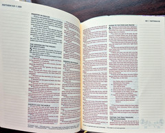 NASB Artisan Collection Bible (Leathersoft, Sage Floral, Red Letter, NEW in Box)