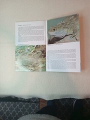 $3.45 – Discover New Zealand, booklet, Wild Animals of New Zealand