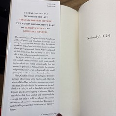 Nobody’s Girl : A Memoir of Surviving Abuse and Fighting for Justice by Virginia
