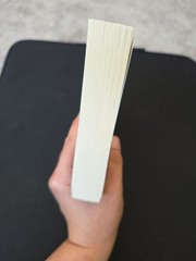 The Murder Game book