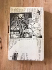 ABSOLUTE ZIPPO: A Fanzine’s Anthology pb Eggplant punk zine Gilman Op Ivy 1st