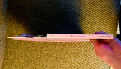 Berry Princess (Strawberry Shortcake) stickers, barrettes, lip gloss NEW (2005)