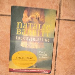 Square Fish Tuck Everlasting Natalie Babbitt Paperback Classics Fantasy Magic